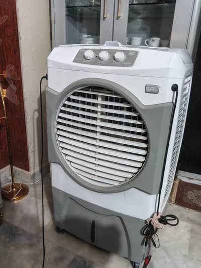 Ac / dc Air cooler with 8 cooling bottles