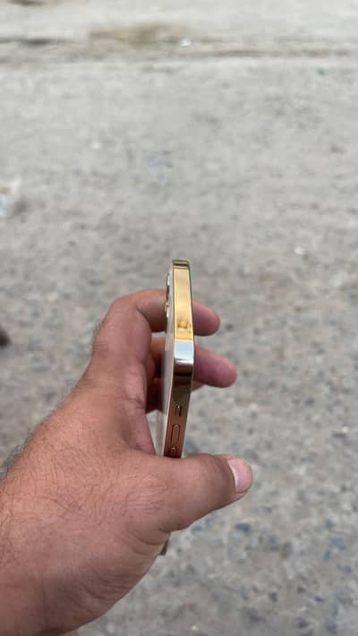 fectory unlock 12 pro 256 GB