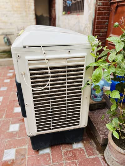 Air cooler ECM5000+