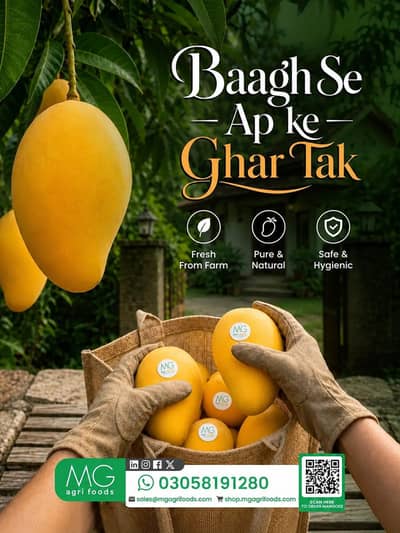 Fresh Dosri Mangoes for Sale – Sweet & Juicy