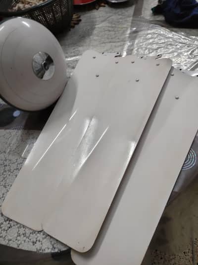 56" GFC cieling FAN for sale