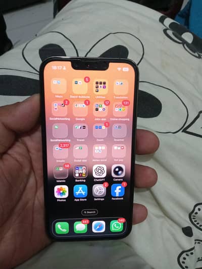 Apple iPhone 13 Pro