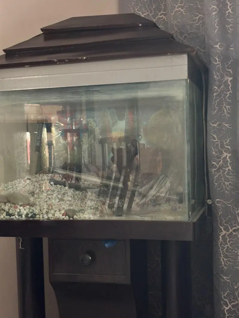 Fish tank/ Aquarium — photo 2