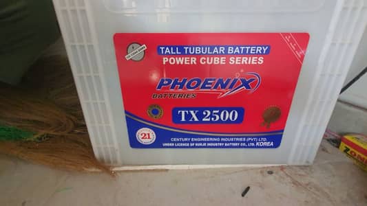 Phoenix 2500 Tall Tubular Battery 10 months warranty