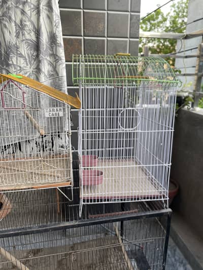 Birds cages