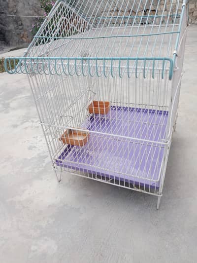 cage for birds
