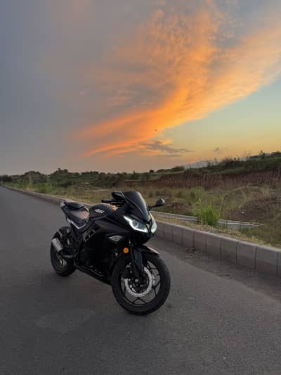 Kawasaki Ninja 250R Replica
