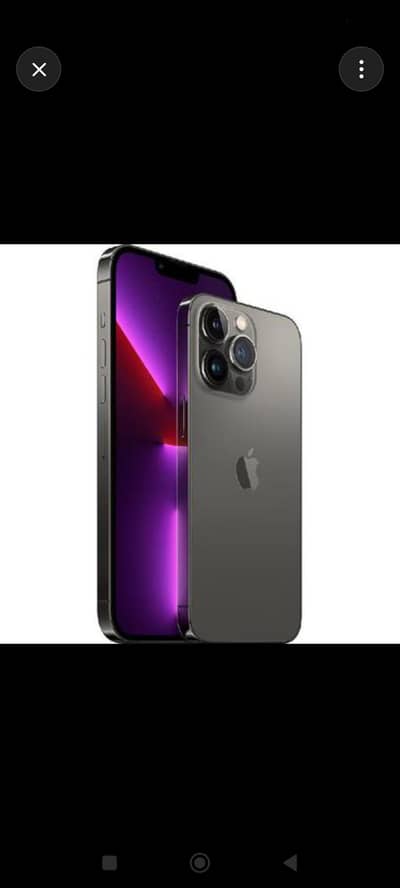 Apple iPhone 13 Pro Max
