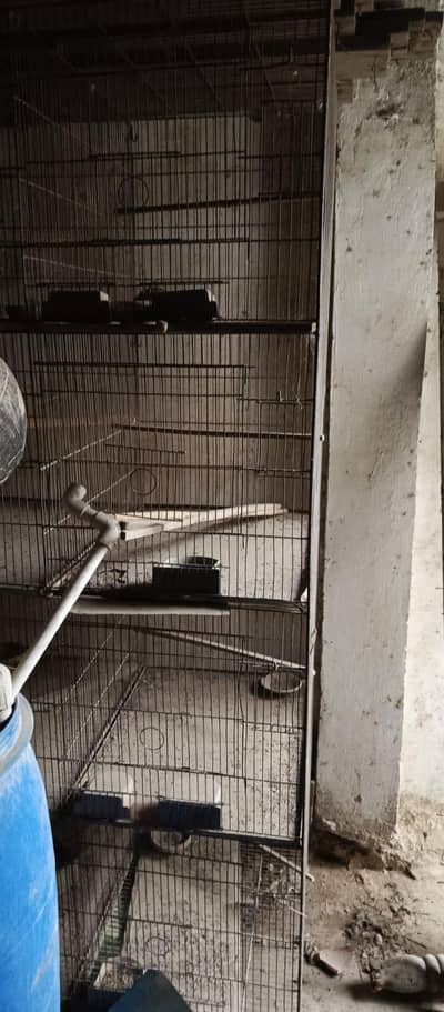 birds cages for sale