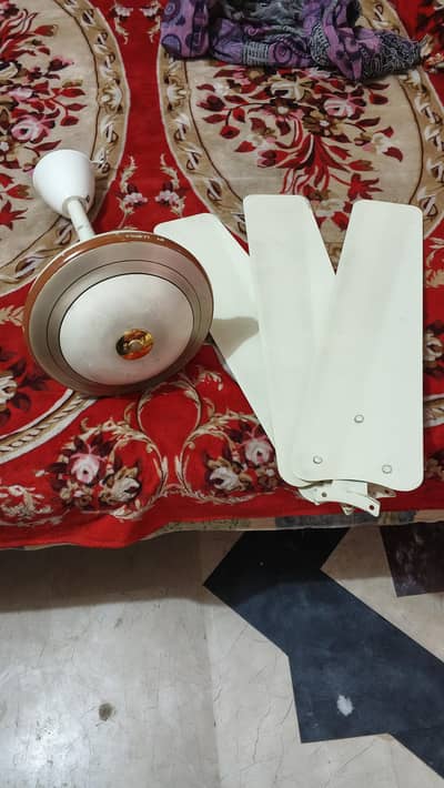 celling fan for sale
