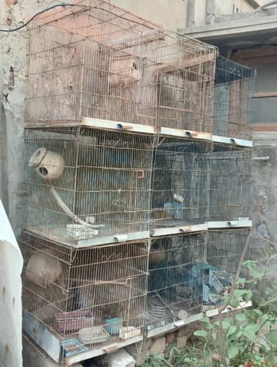 Cages For Sale