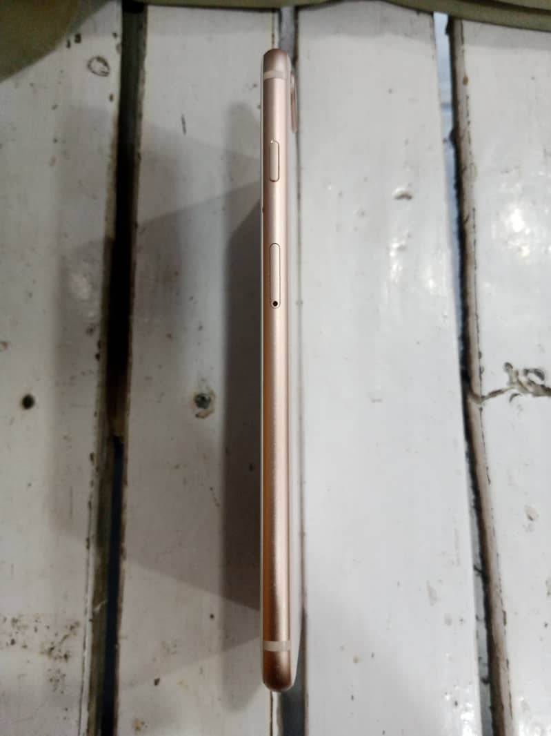 Apple iPhone 8 Plus 0