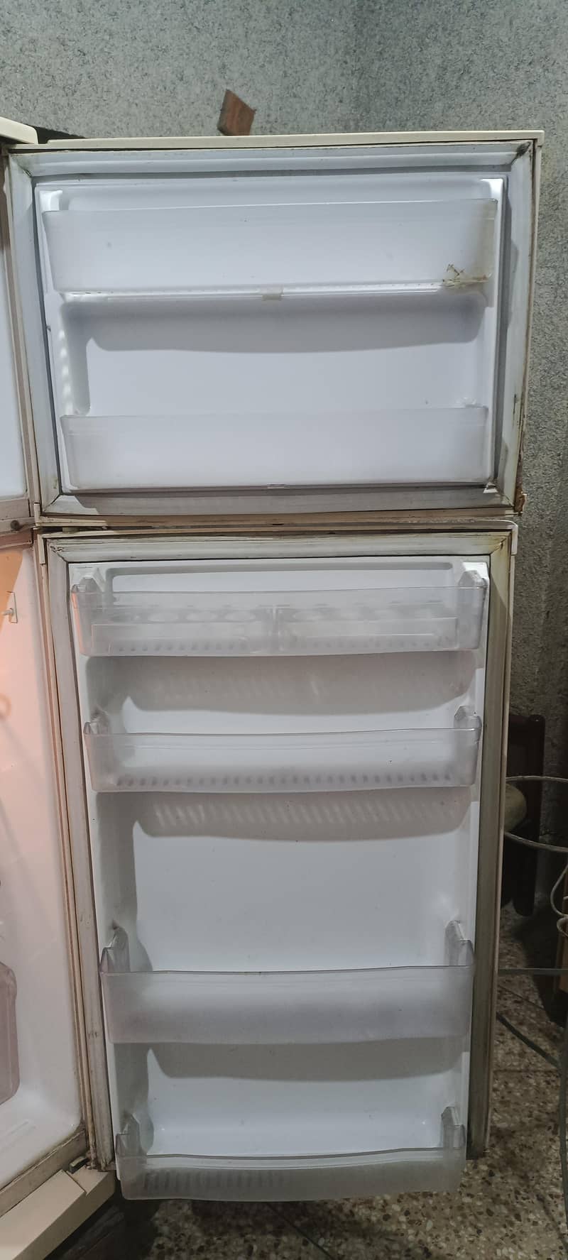 Waves Fridge 1