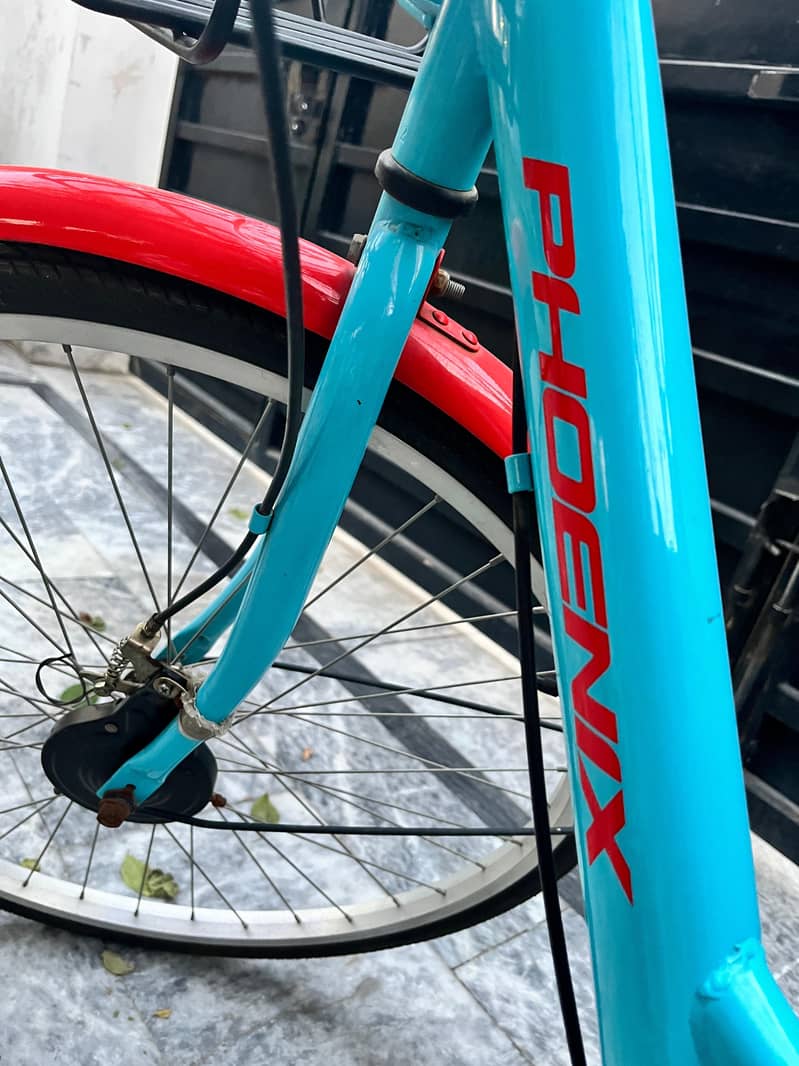 PHOENIX CYCLE 2