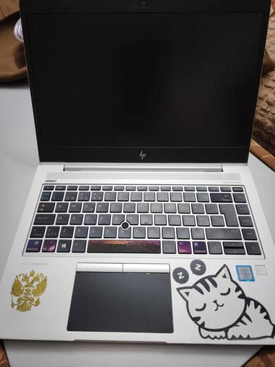 HP Elitebook 840 G6 i5 8 Generation 256GB SSD