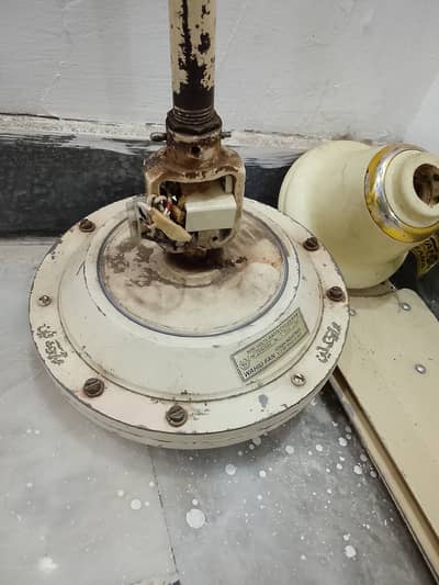 Celling Fan in good condition