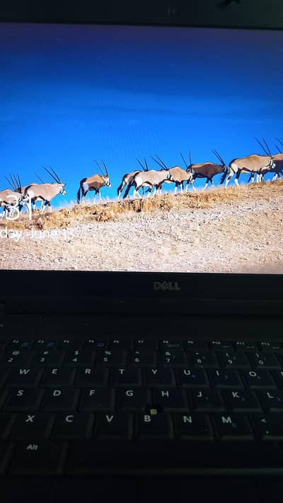 Dell i5 4th Gen,
