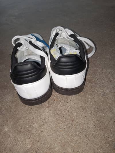 Adidas samba shoes for sale with box
