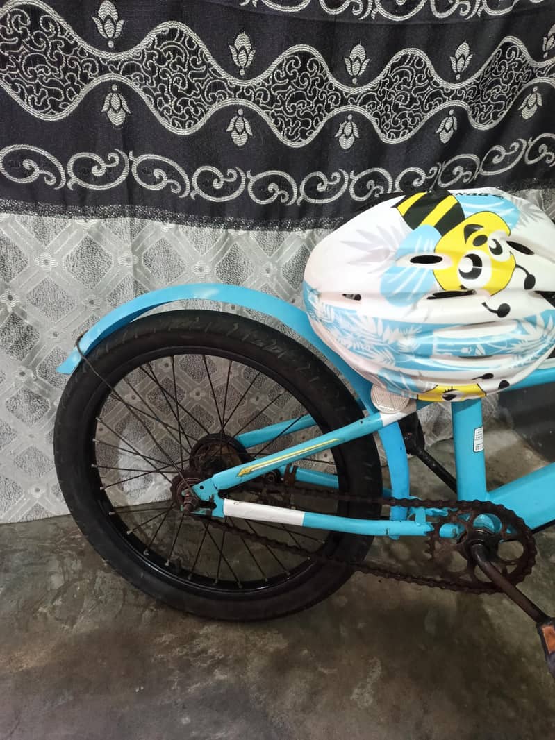 CF cycle 18" 1