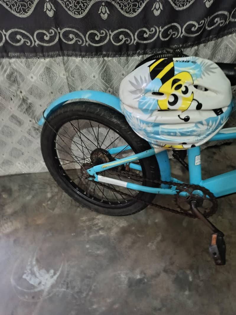 CF cycle 18" 5