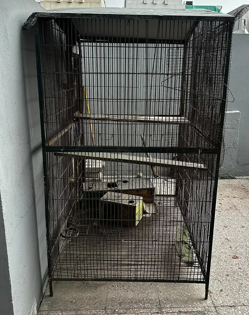 Double portion cage for sale — photo 2