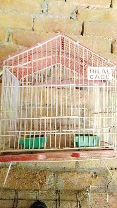 Bird cage/Parindon-ka-pinjra. /cage sale - mazboot halat