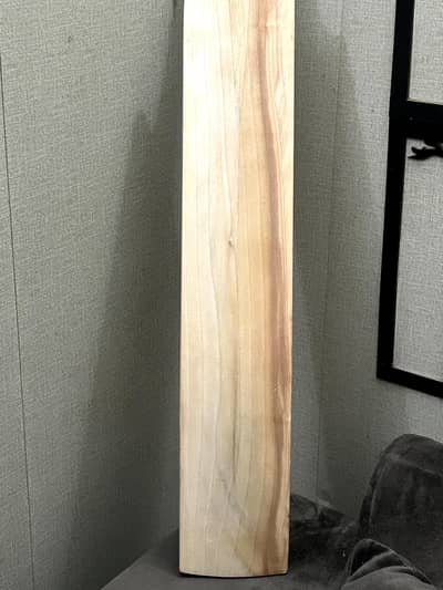 MB Cricket Bat