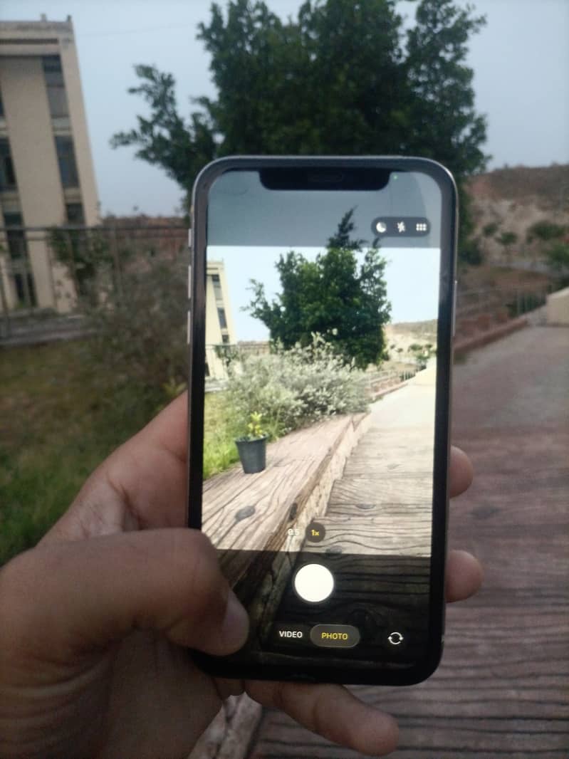 Apple iPhone 11 3