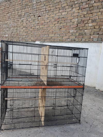 Cage for sale location DG Khan