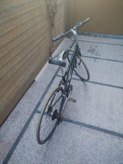 Hybrid Rover Bike