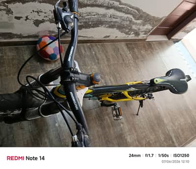 Mountain bike