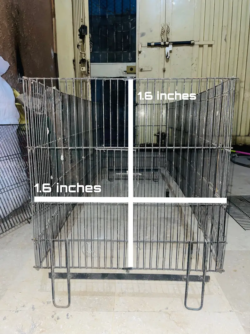 6 portions cage — photo 7