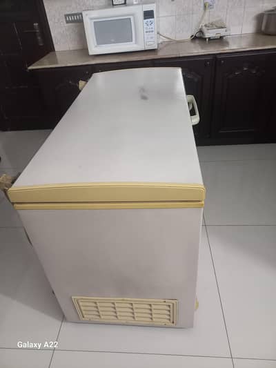 D freezer
