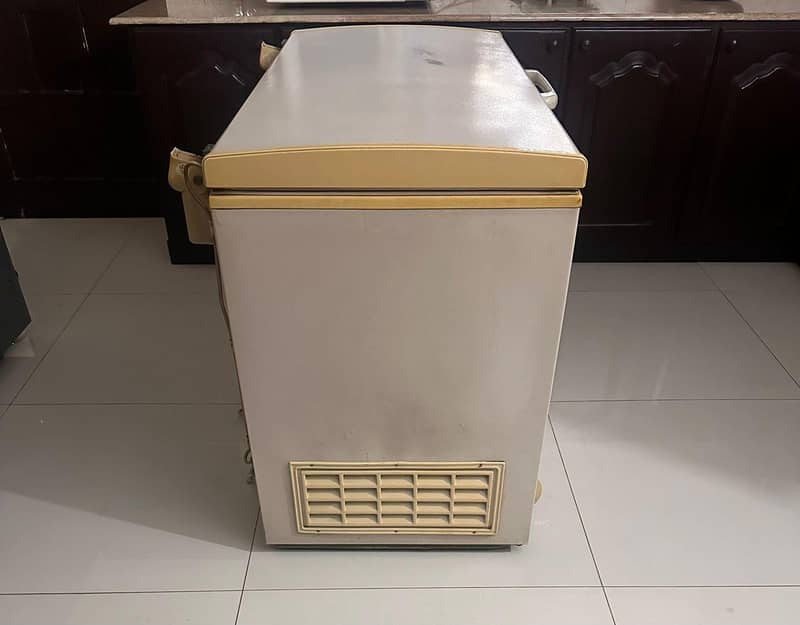 D freezer 3