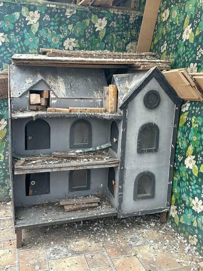Birds luxury houses
