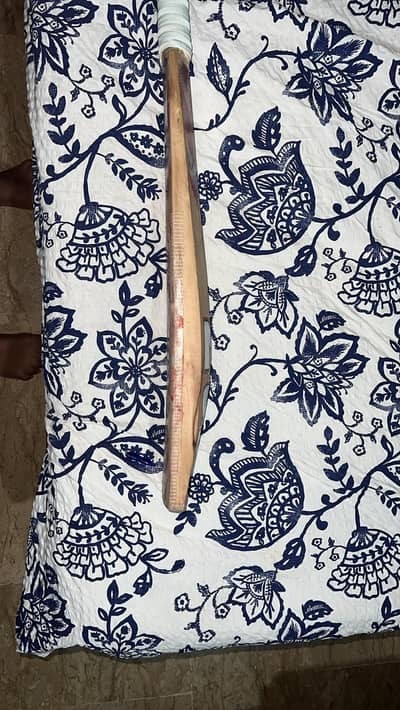 English willow cricket bat