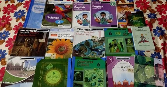 Beaconhouse Books Class 6