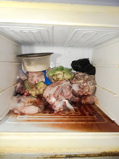 Dawlance freezer
