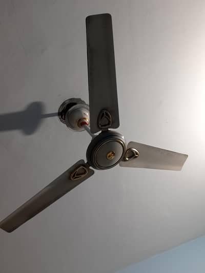 Royal celling Fan