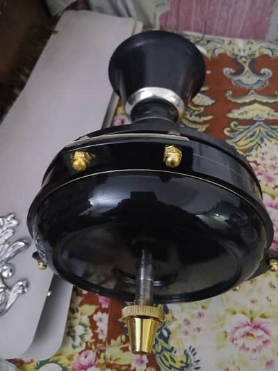 Royal fan Brand new