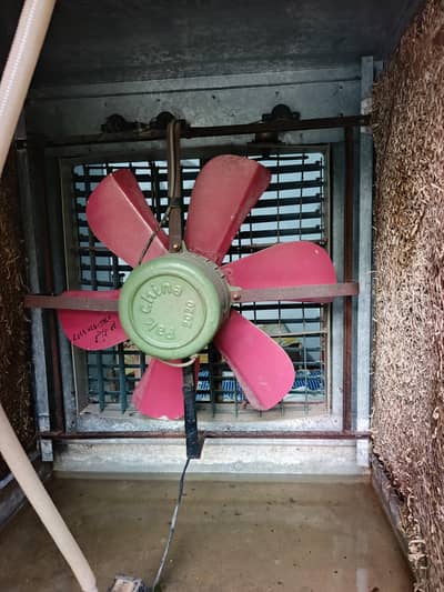 Room Cooler