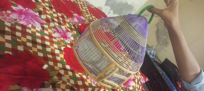 Best hens parrot cage
