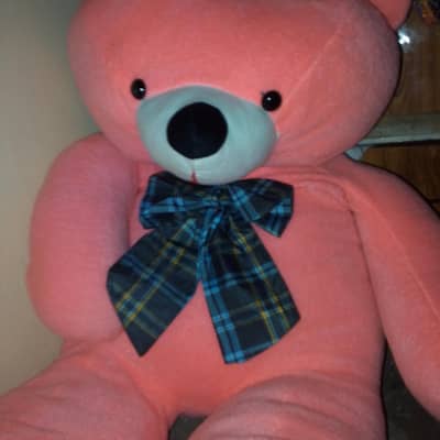 teddy bear 