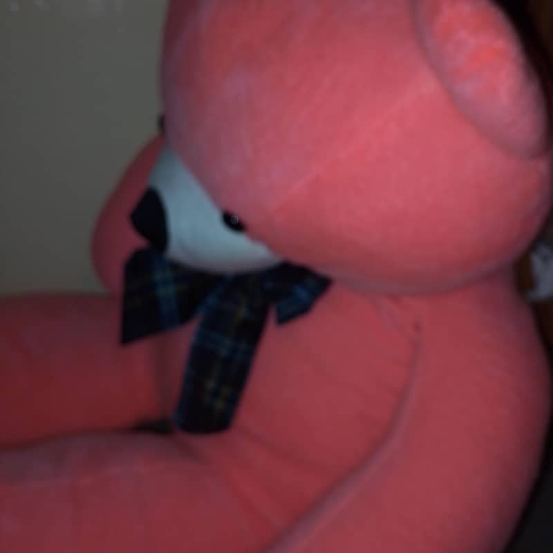 teddy bear  1