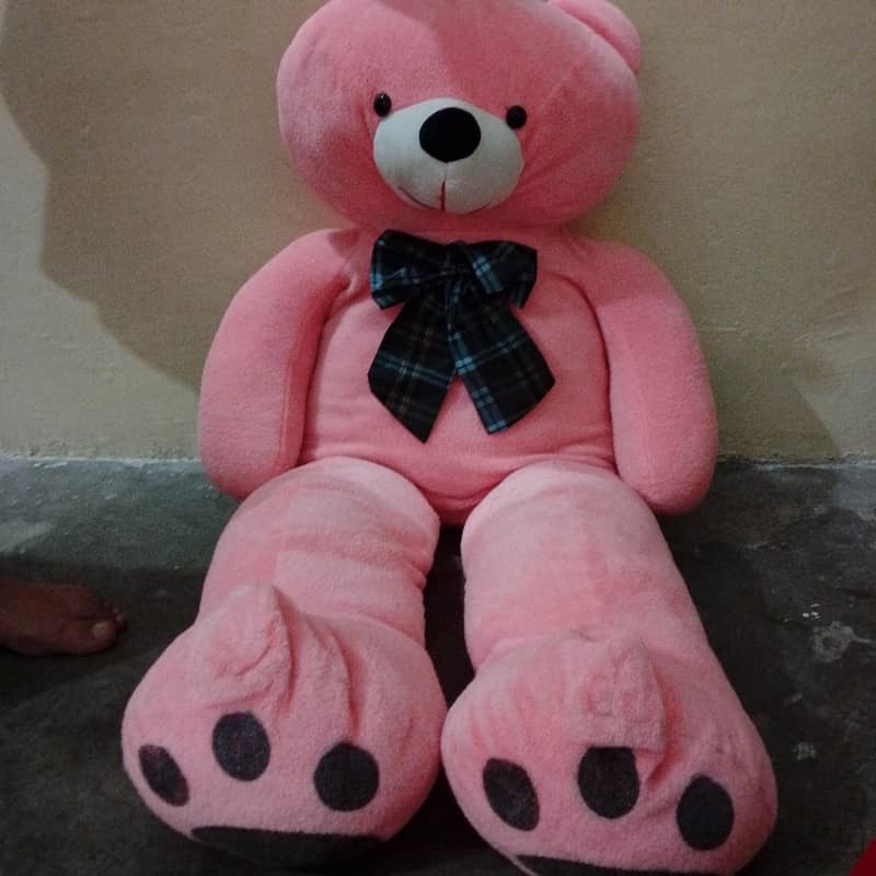 teddy bear  2