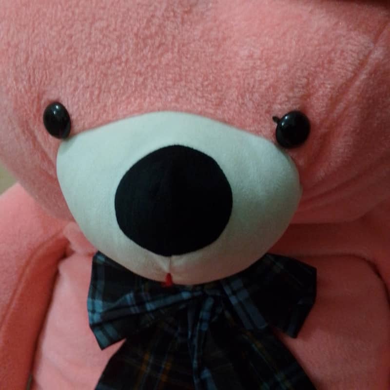 teddy bear  3