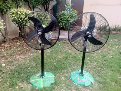 New Ghosia pedestal fans bldc with remote wholesale rate for sale