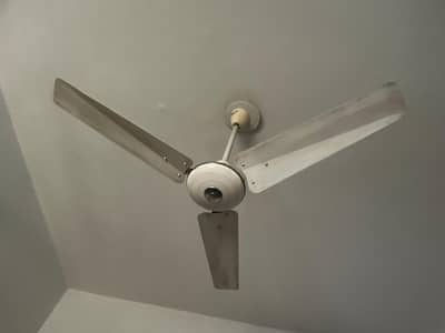Ceiling Fans in best Price