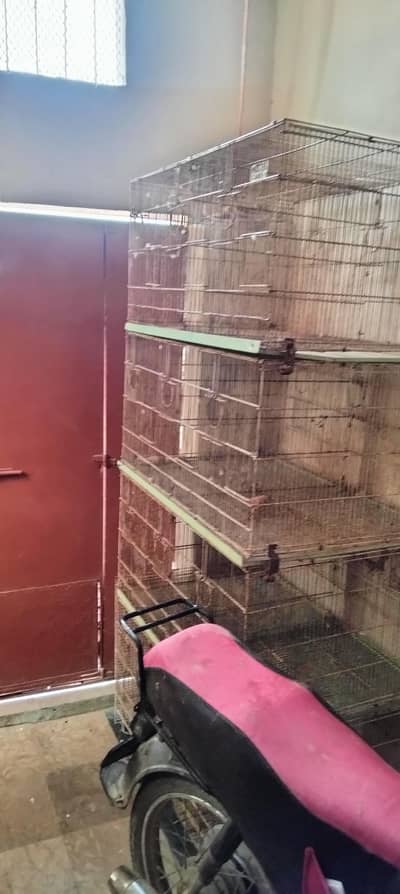 8 portion folding cage