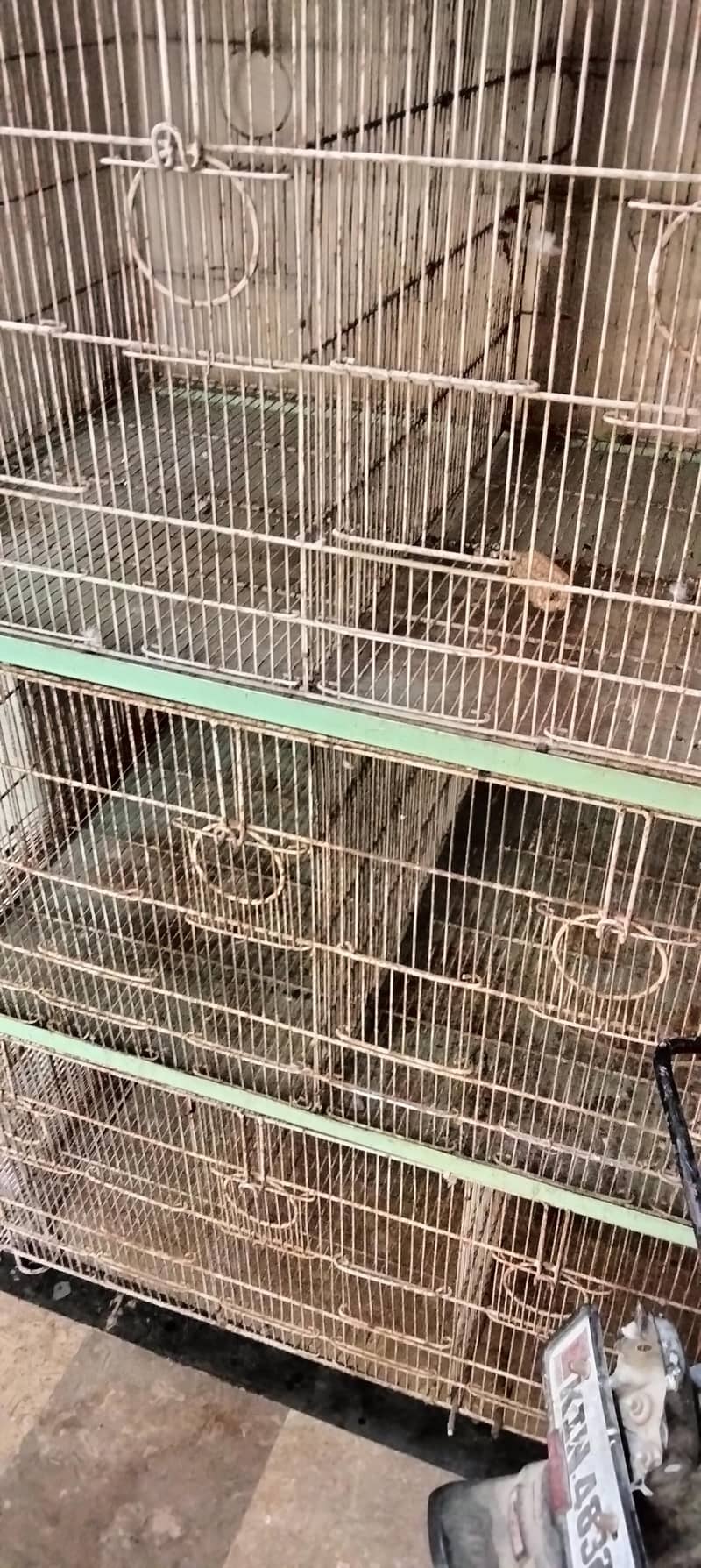 8 portion folding cage 2